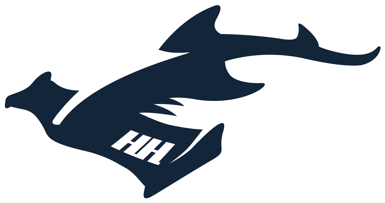 GoHammerhead logo