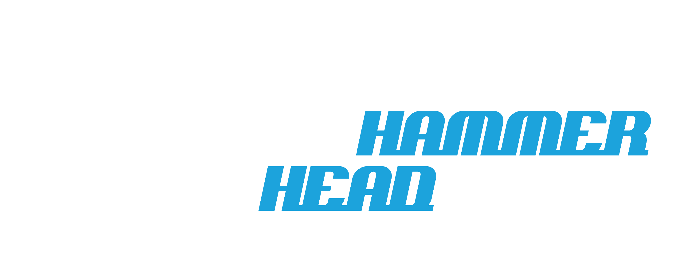 GoHammerhead logo
